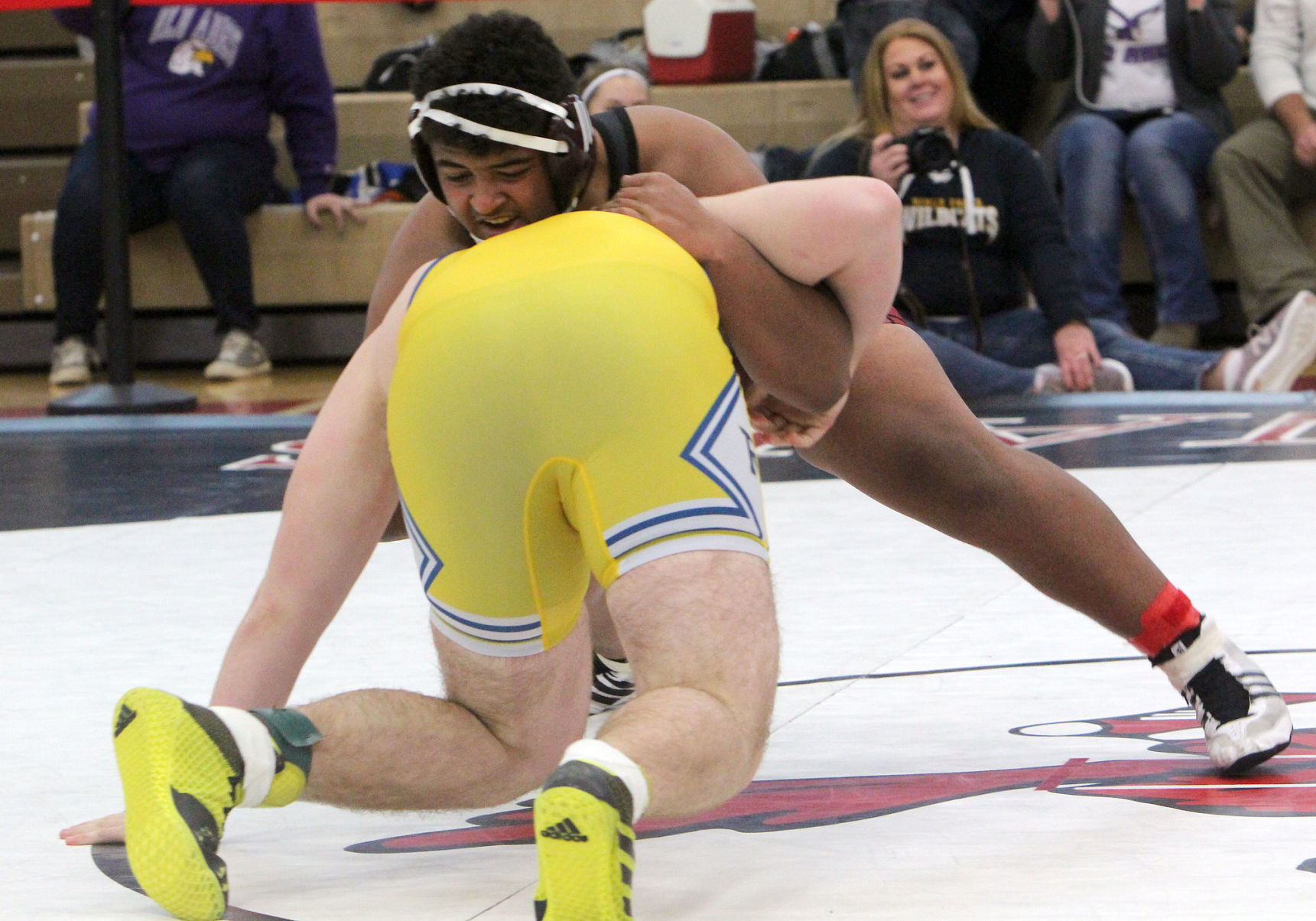 Division 1 wrestling regional at Chippewa Falls 2-9-19
